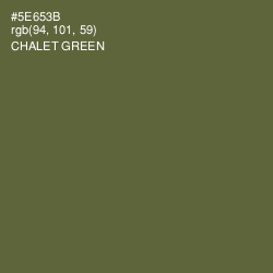 #5E653B - Chalet Green Color Image